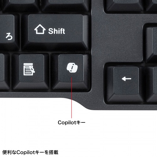 Copilot�L�[����