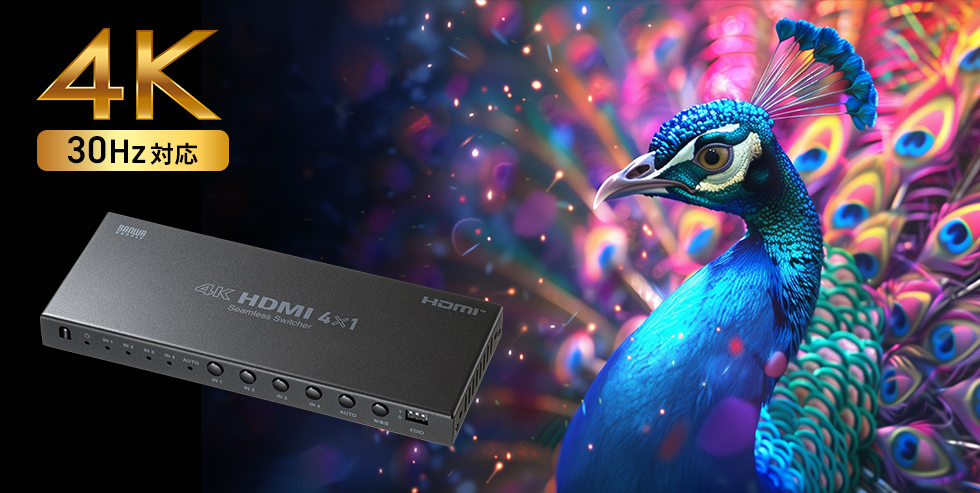 4K�Ή��̐����摜