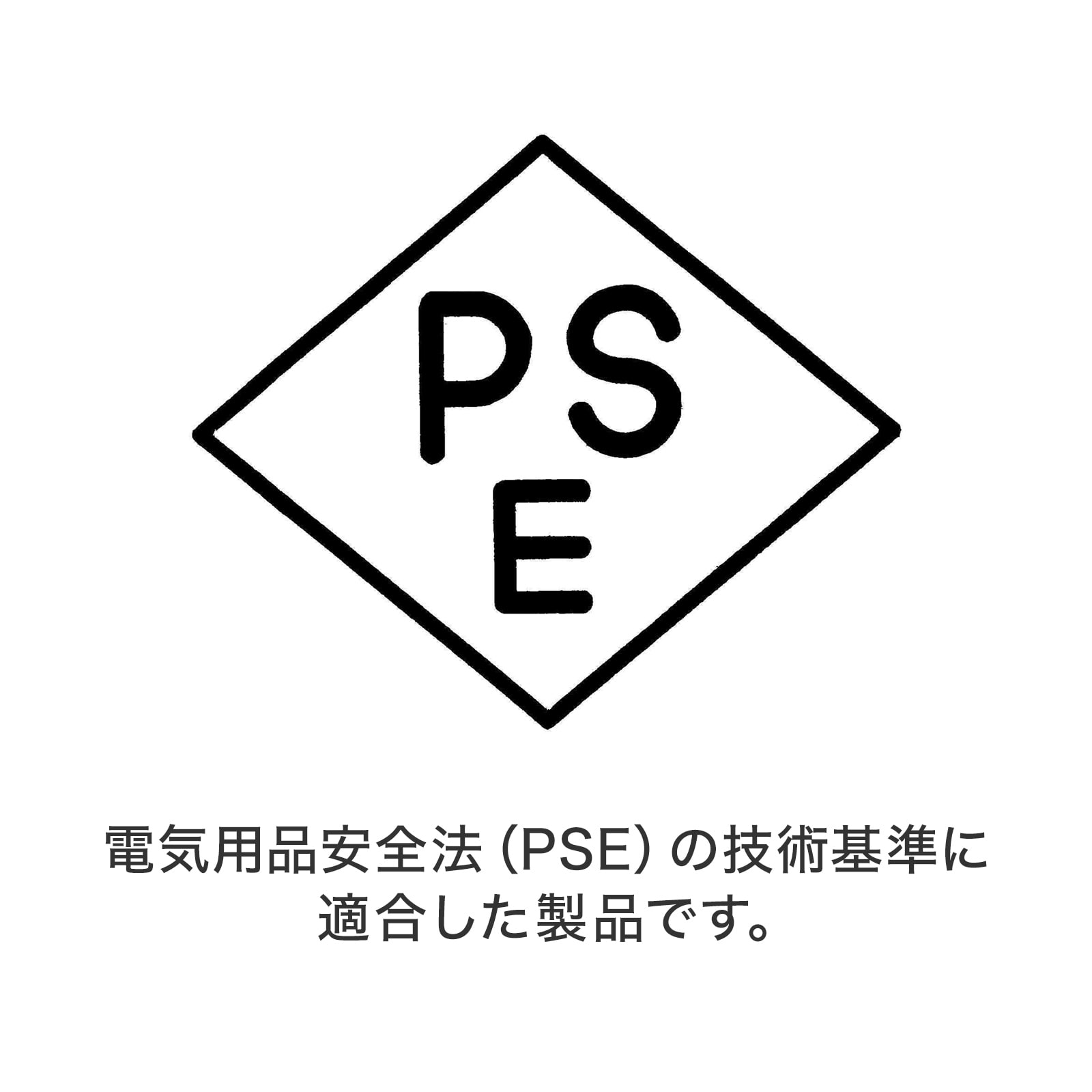 �d�C�p�i���S�@�iPSE�j�K��
