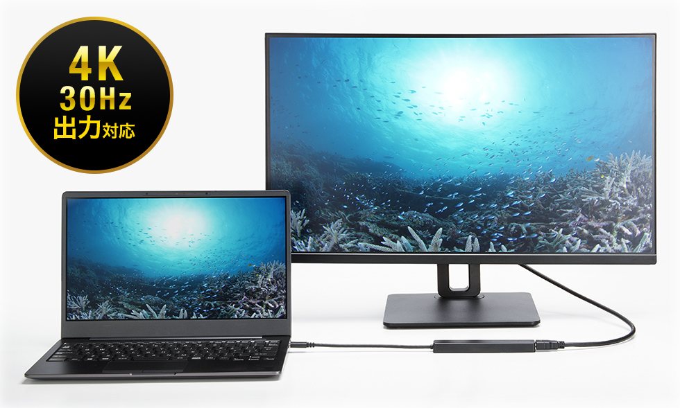 HDMI(4K/30Hz)�ō��掿�o��