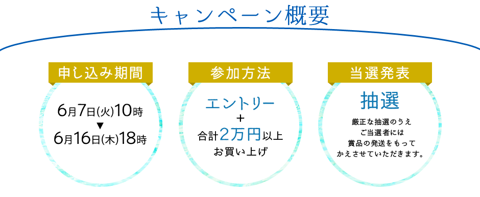 キャンペーン概要