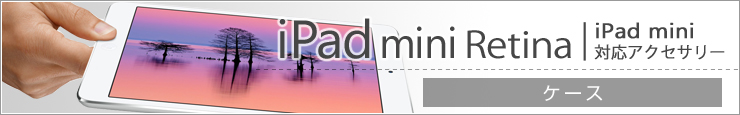 iPad miniANZT[