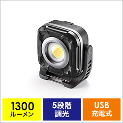 800-LED096BK