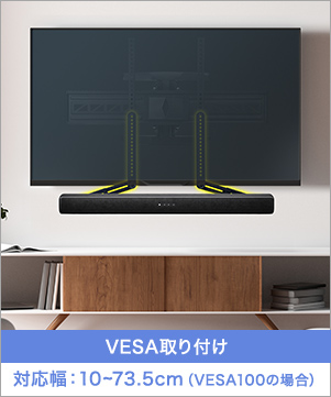 100-VESA012