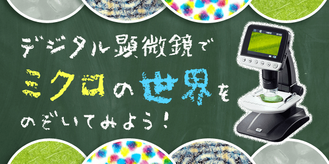 デジタル顕微鏡を使ってミクロの世界をのぞいてみよう