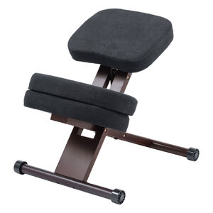 バランスチェア 子ども椅子 プロポーションチェア 木製 補助クッション付き 高さ調節 角度調整 リビング学習 腰痛 エルゴノミクスチェア