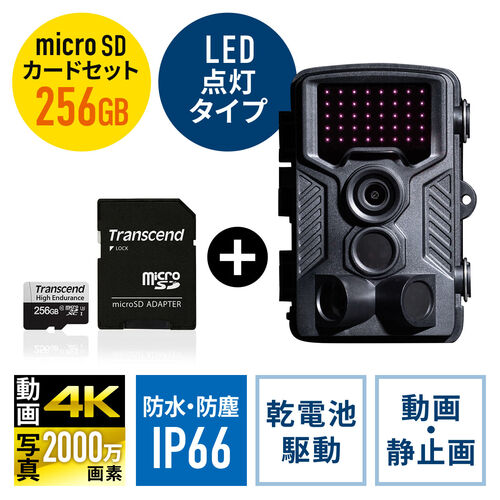トレイルカメラ 防犯カメラ＋256GB microSDXCカードのセット（400-CAM091+TS256GUSD350V）