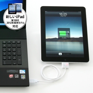 【クリックでお店のこの商品のページへ】iPad充電＆同期ケーブル 500-USB008