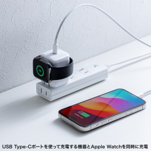 Apple WatchΉ USB[d PD30W USB-C~1 2in1