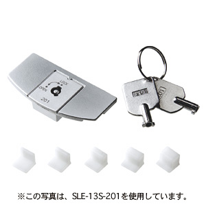 【クリックでお店のこの商品のページへ】eセキュリティ(DVD・CDドライブロック) SLE-13S-202
