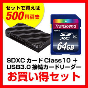 TS64GSDXC10-A