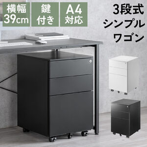 fXNS Lrlbg 3i 39cm s45cm 60cm t ꊇbN X`[ zCg