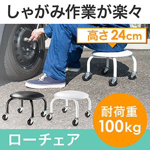 ƈ֎qiނ ֎qE]ԁEoCNeiXEω׏d100kgEubNj