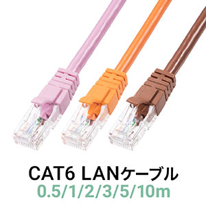LANP[u CAT6  Xg[g 2m sN